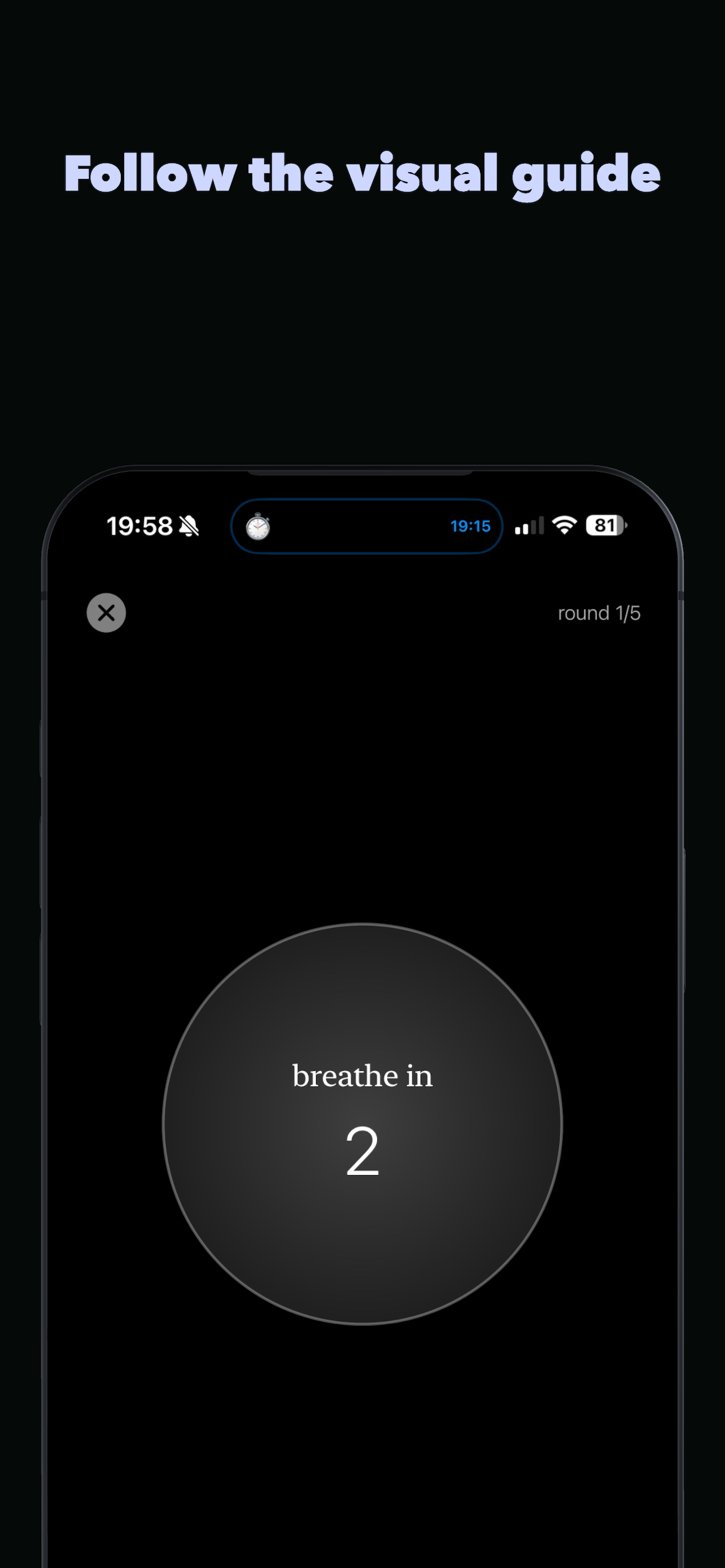 Visual breathing guide animation